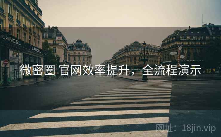 微密圈 官网效率提升，全流程演示