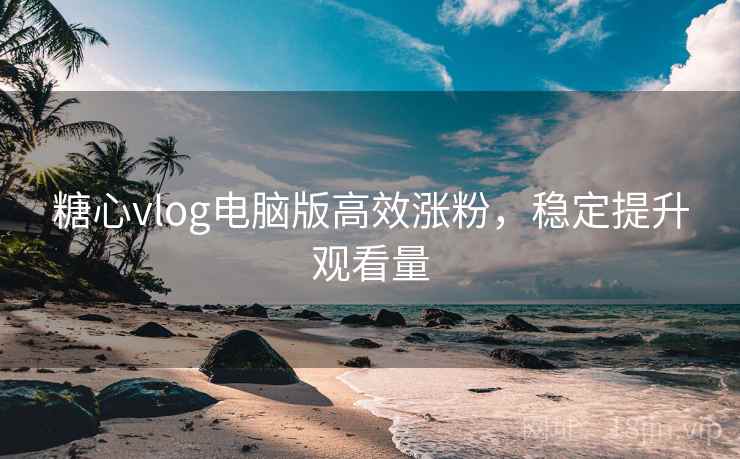 糖心vlog电脑版高效涨粉，稳定提升观看量