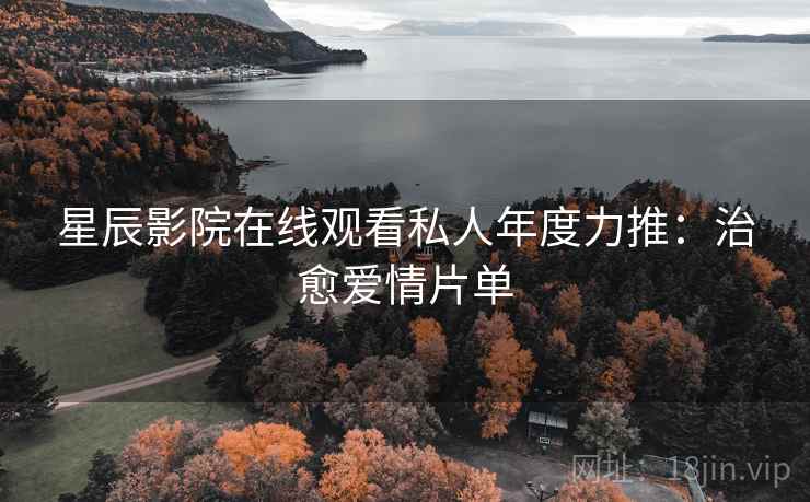 星辰影院在线观看私人年度力推：治愈爱情片单