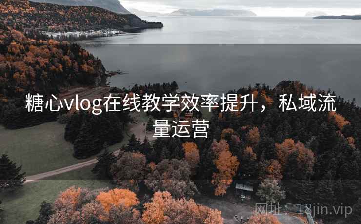糖心vlog在线教学效率提升，私域流量运营